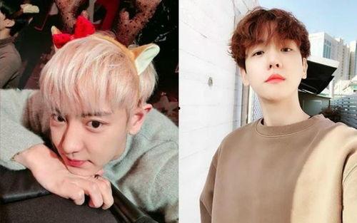 伯贤最新爆料,新作品背后的故事与灵感来源  第3张